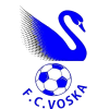 Voska Sport logo