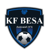 Besa 1976 logo