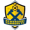 Ekwendeni Hammers logo