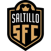 Saltillo logo