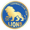 Bch Lions logo