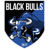 Black Bulls logo