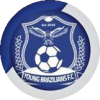 Young Brazilians logo