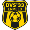 Dvs '33 Ermelo logo