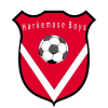 Harkemase Boys logo