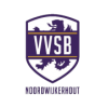 Vvsb logo