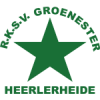 Groene Ster logo