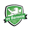 Baronie logo