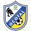 Ocotal logo