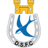 Dungannon logo