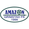 Grimstad W logo