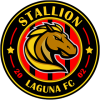 Stallion logo