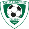 Carina Gubin logo