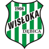 Wisloka Debica logo