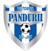 Viitorul Tg. Jiu logo