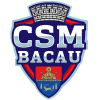 Csm Bacau logo