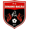 Dinamo Bacau logo