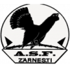 Olimpic Zarnesti logo