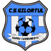 Gilortul Tg. Carbunesti logo