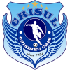 Crisul Chisineu Cris logo