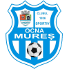 Ocna Mures logo