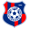 Fc Bihor logo