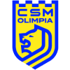 Csm Satu Mare logo