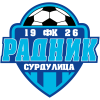 Radnik logo