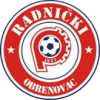 Radnicki Obrenovac logo