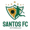 Santos logo