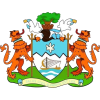 Freetown City logo