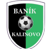 Kalinovo logo