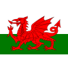 Wales U19 logo