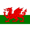 Wales U19 logo