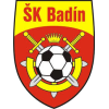 Badin logo