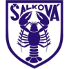 Salkova logo