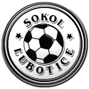 Sokol Lubotice logo