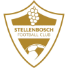 Stellenbosch logo