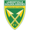 Golden Arrows logo