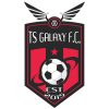 Ts Galaxy logo