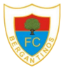 Bergantinos logo