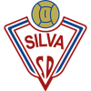 Silva Sd logo