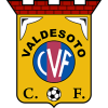 Valdesoto logo