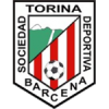 Torina logo