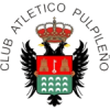 Pulpileno logo