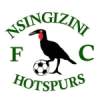 Nsingizini Hotspurs logo