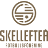 Skelleftea logo