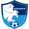 Erzurumspor logo