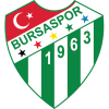 Bursaspor logo