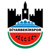 Diyarbekirspor logo